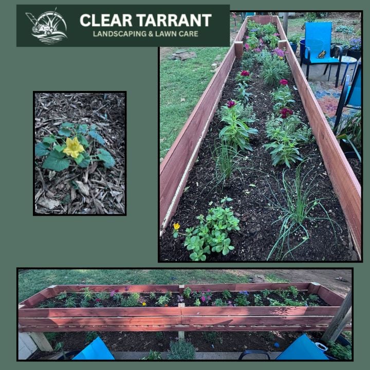 Cedar raised bed garden planted with herbs, vegetables and flowers by Clear Tarrant in Arlington, TX