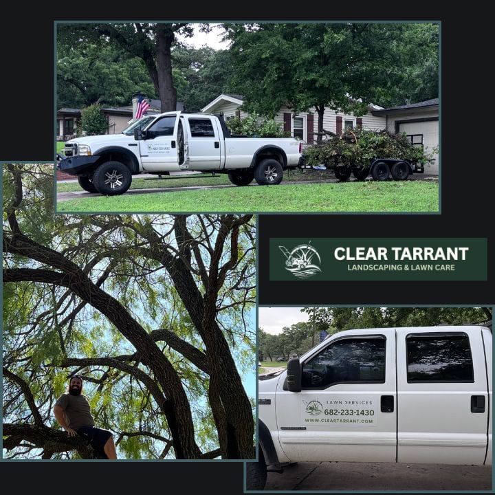 Clear Tarrant truck and trailer loaded with brush after tree trimming in Arlington, TX