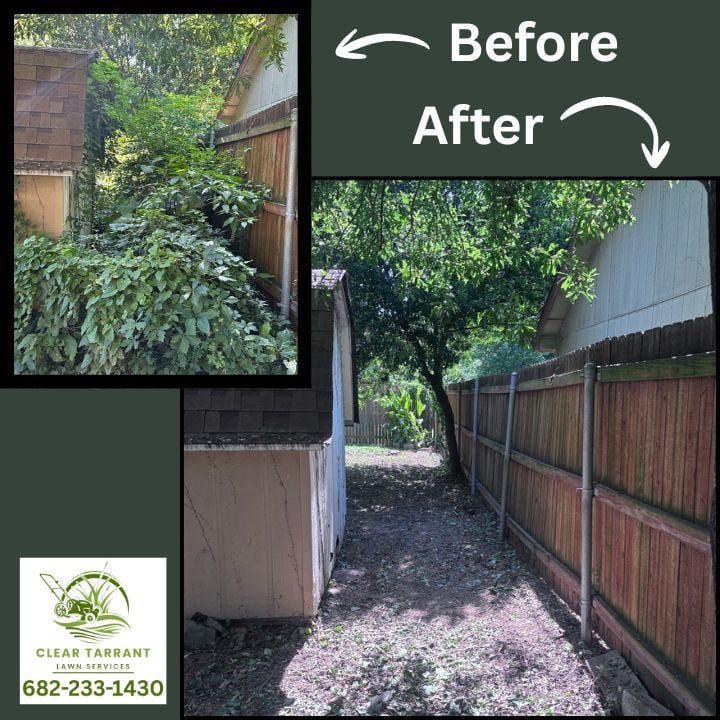 Before and after of an overgrown side yard cleared to bare ground beside a shed in Arlington, TX