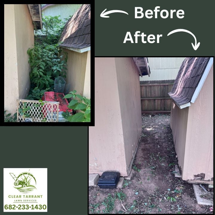 Before and after of a narrow passage between a house and shed cleared of overgrowth in Arlington, TX