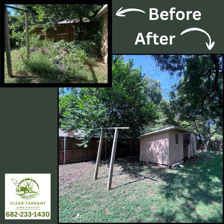 Before and after of an overgrown backyard restored to open mowed lawn around a shed in Arlington, TX