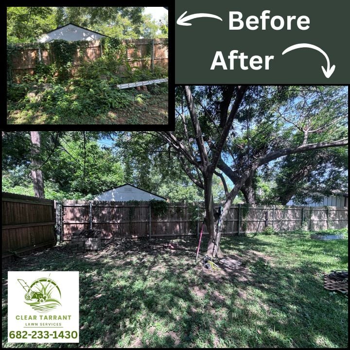 Before and after of a backyard fence line overtaken by vines, cleared and mowed in Arlington, TX