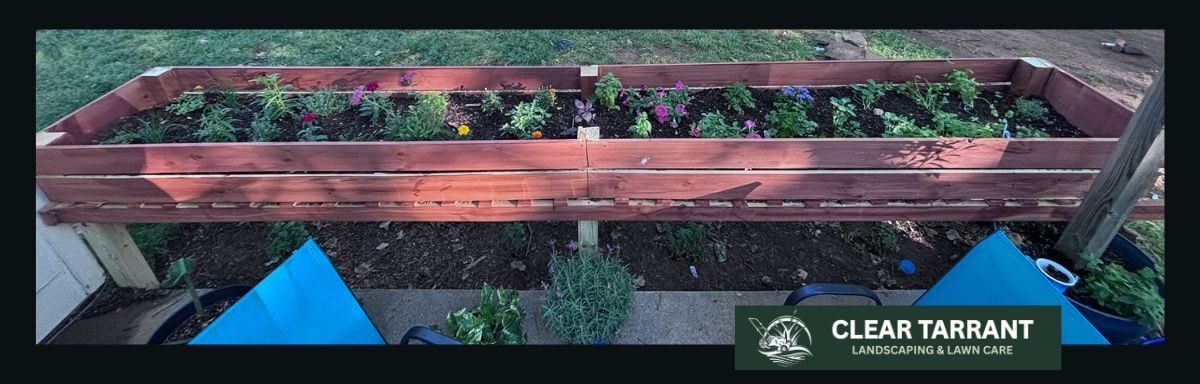 Cedar wood raised bed garden planted with herbs and flowers by Clear Tarrant in Arlington, TX