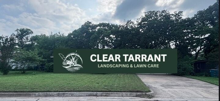Freshly mowed front lawn with a clean driveway edge and mature shade trees behind it in Arlington, TX
