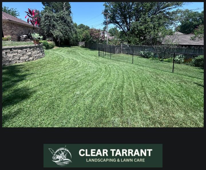 Freshly mowed backyard lawn with clean mowing stripes maintained by Clear Tarrant in Arlington, TX