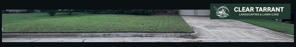 Freshly mowed and edged yard in Arlington TX with clean lines