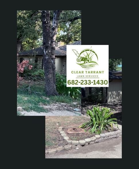 Before and after tree removal showing a mature tree beside a home and the trunk cut flush to ground level in Arlington, TX